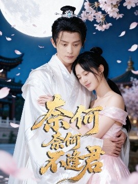 奈何奈何不逢君